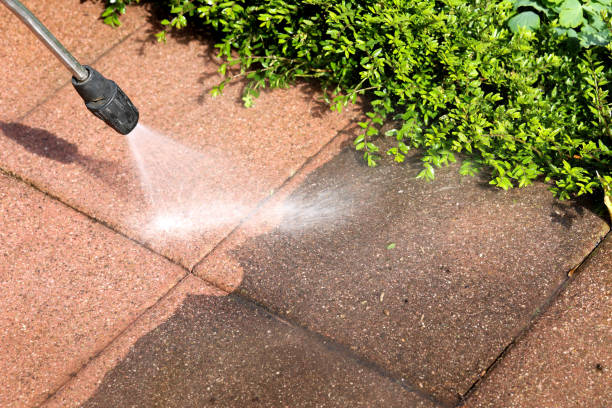 Best Commercial Building Pressure Washing  in Moapa Valley, NV